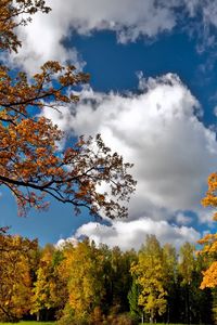 Preview wallpaper autumn, sky, trees, landscape