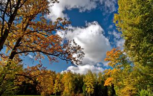 Preview wallpaper autumn, sky, trees, landscape