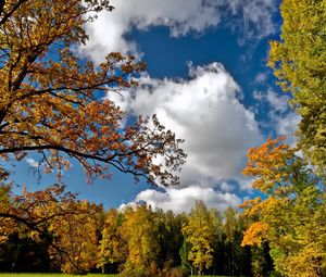 Preview wallpaper autumn, sky, trees, landscape