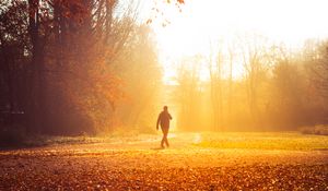 Preview wallpaper autumn, solitude, walk, park, sunlight