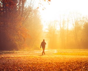 Preview wallpaper autumn, solitude, walk, park, sunlight