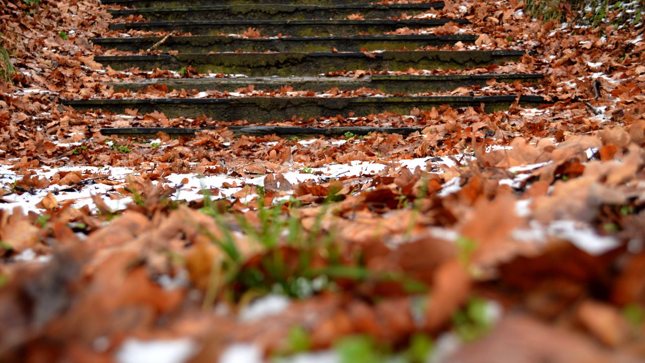 Wallpaper autumn, steps, foliage, snow