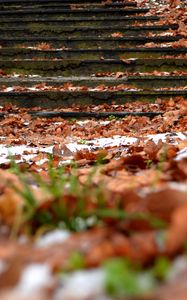 Preview wallpaper autumn, steps, foliage, snow