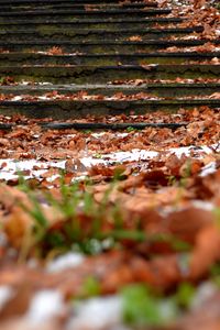 Preview wallpaper autumn, steps, foliage, snow