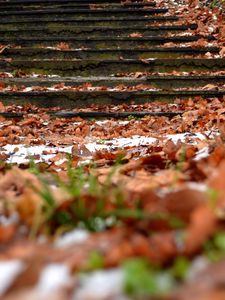 Preview wallpaper autumn, steps, foliage, snow