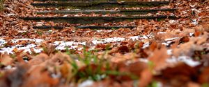 Preview wallpaper autumn, steps, foliage, snow