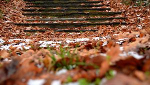 Preview wallpaper autumn, steps, foliage, snow