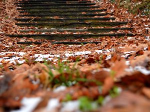 Preview wallpaper autumn, steps, foliage, snow