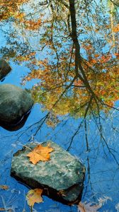 Preview wallpaper autumn, stone, leaves, colors, reflection, mirror