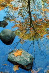 Preview wallpaper autumn, stone, leaves, colors, reflection, mirror