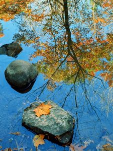 Preview wallpaper autumn, stone, leaves, colors, reflection, mirror