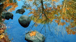 Preview wallpaper autumn, stone, leaves, colors, reflection, mirror