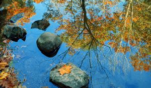 Preview wallpaper autumn, stone, leaves, colors, reflection, mirror