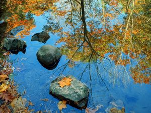 Preview wallpaper autumn, stone, leaves, colors, reflection, mirror