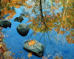 Preview wallpaper autumn, stone, leaves, colors, reflection, mirror