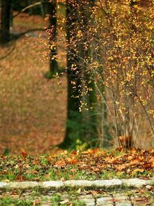 Preview wallpaper autumn, stones, bushes, column, path, leaves