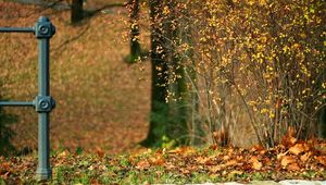 Preview wallpaper autumn, stones, bushes, column, path, leaves