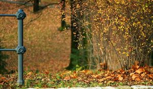 Preview wallpaper autumn, stones, bushes, column, path, leaves