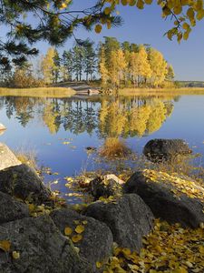 Preview wallpaper autumn, stones, trees, leaves, birches, lake, island, coast