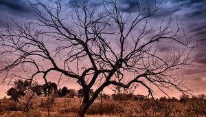 Preview wallpaper autumn, sunset, clouds, tree, landscape