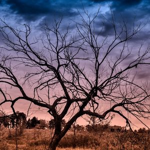 Preview wallpaper autumn, sunset, clouds, tree, landscape