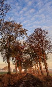 Preview wallpaper autumn, trail, trees, sky