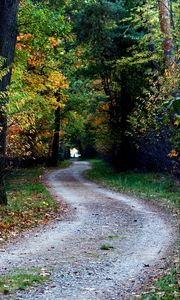 Preview wallpaper autumn, trail, trees, foliage