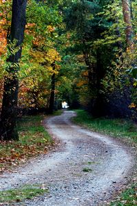 Preview wallpaper autumn, trail, trees, foliage