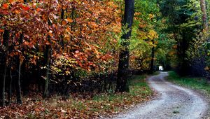 Preview wallpaper autumn, trail, trees, foliage