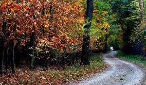 Preview wallpaper autumn, trail, trees, foliage