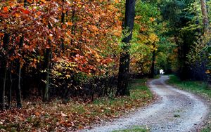 Preview wallpaper autumn, trail, trees, foliage