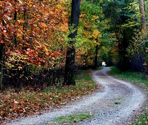 Preview wallpaper autumn, trail, trees, foliage