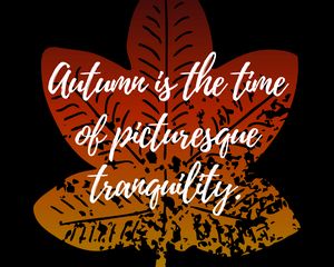 Preview wallpaper autumn, tranquility, quote, inscription, leaf