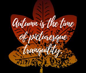 Preview wallpaper autumn, tranquility, quote, inscription, leaf