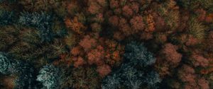 Preview wallpaper autumn, trees, aerial view, forest, autumn colors, vegetation