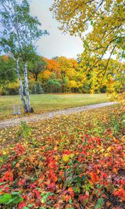 Preview wallpaper autumn, trees, footpath, forest