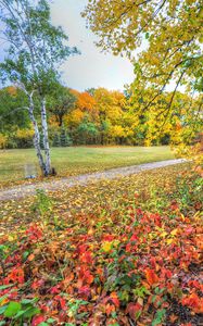 Preview wallpaper autumn, trees, footpath, forest