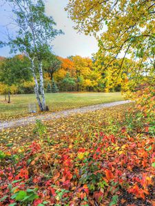 Preview wallpaper autumn, trees, footpath, forest