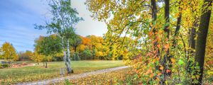 Preview wallpaper autumn, trees, footpath, forest