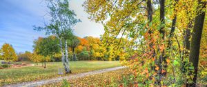 Preview wallpaper autumn, trees, footpath, forest