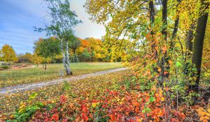 Preview wallpaper autumn, trees, footpath, forest