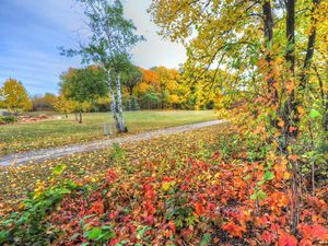 Preview wallpaper autumn, trees, footpath, forest