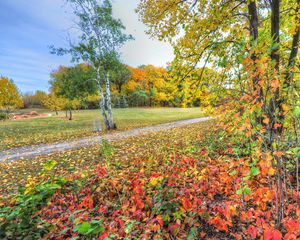 Preview wallpaper autumn, trees, footpath, forest