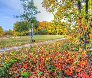 Preview wallpaper autumn, trees, footpath, forest