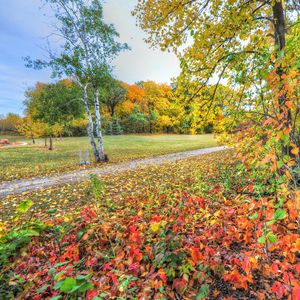 Preview wallpaper autumn, trees, footpath, forest