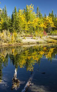 Preview wallpaper autumn, trees, lake, water, reflection