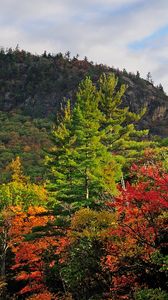 Preview wallpaper autumn, trees, landscape, sky