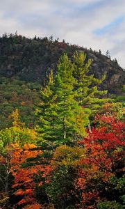 Preview wallpaper autumn, trees, landscape, sky