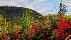 Preview wallpaper autumn, trees, landscape, sky