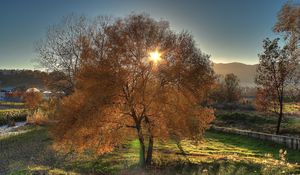 Preview wallpaper autumn, trees, landscape